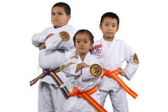 KarateBuiltGR-collage-hero-mobile