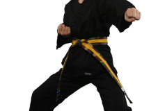 KarateBuiltGR-kids-9