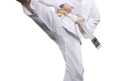 KarateBuiltGR-preschool-6