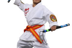 KarateBuiltGR-preschool-7